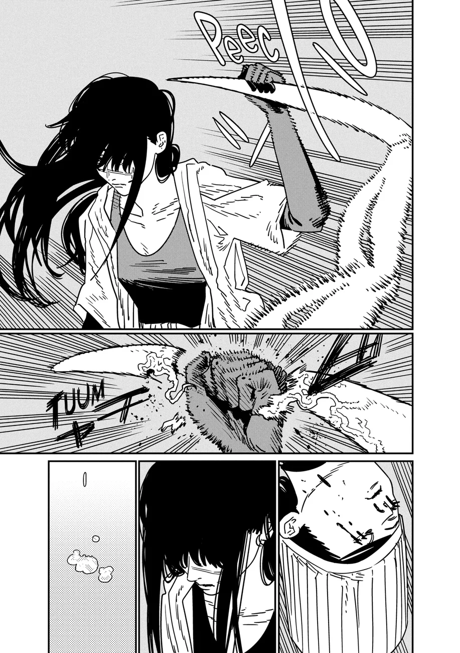 Chainsaw Man — Cap. 209, pág. 9