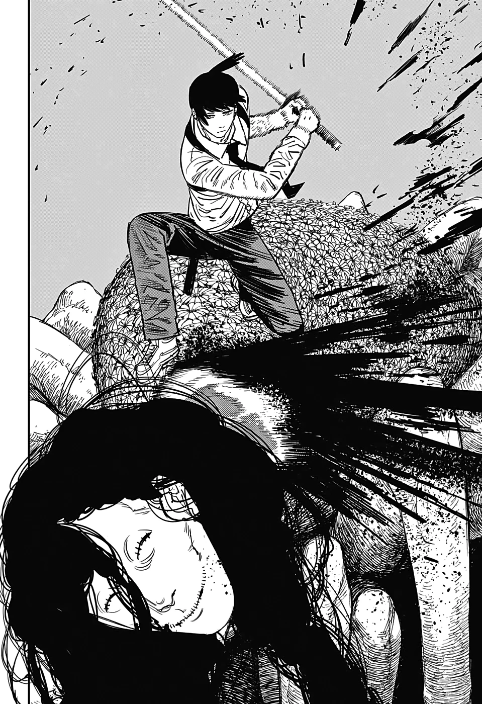 Chainsaw Man — Cap. 35, pág. 17