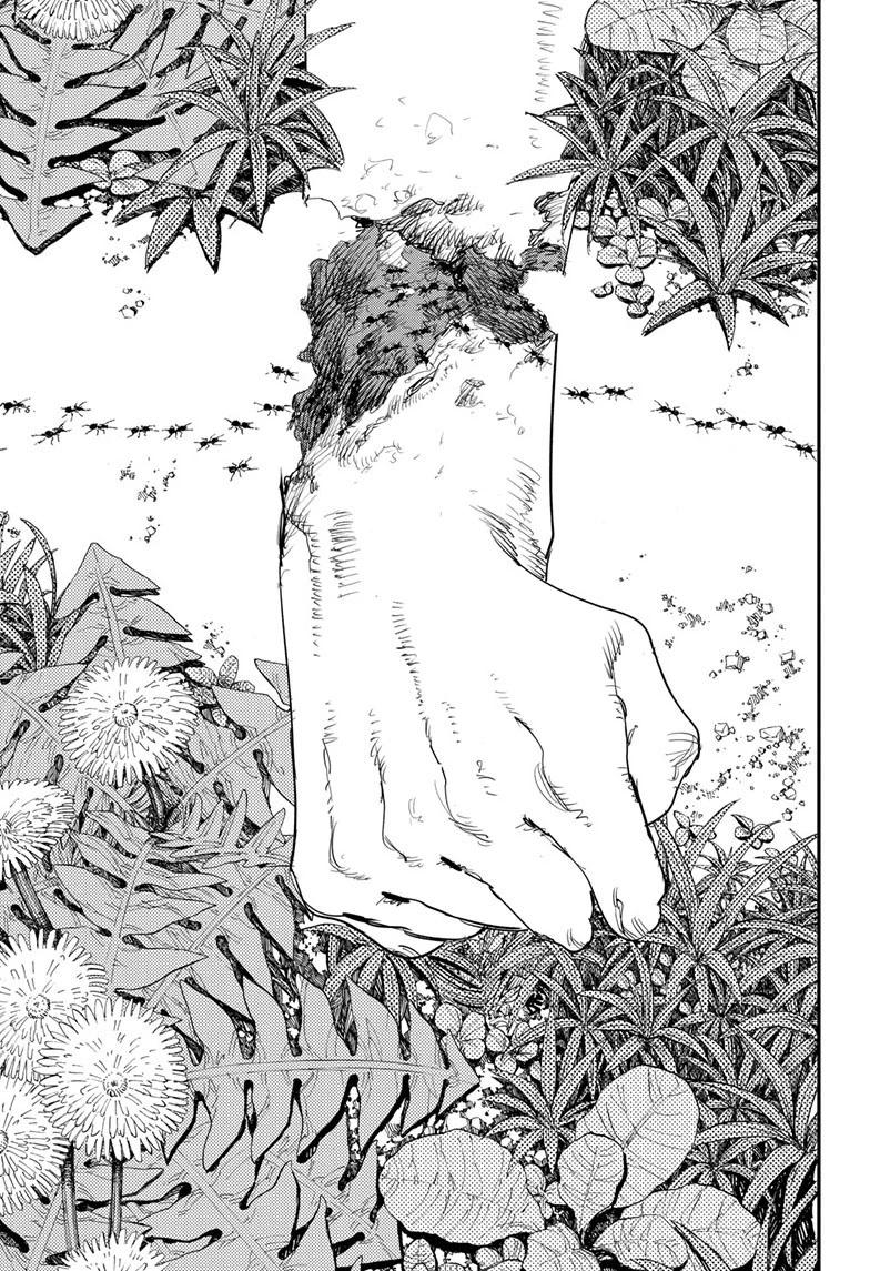 Chainsaw Man — Cap. 63, pág. 17