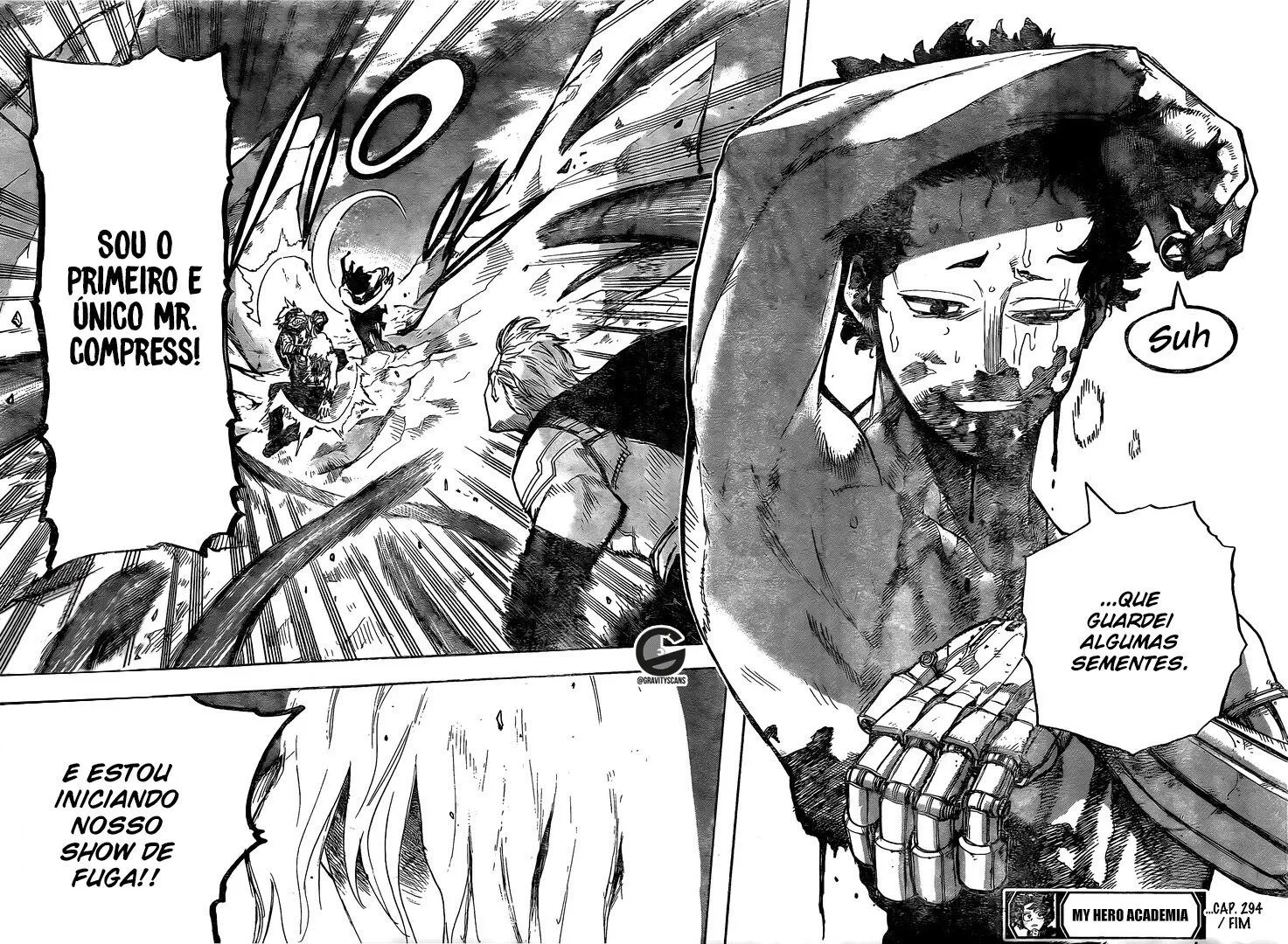 Boku no Hero Academia — Cap. 294, pág. 17
