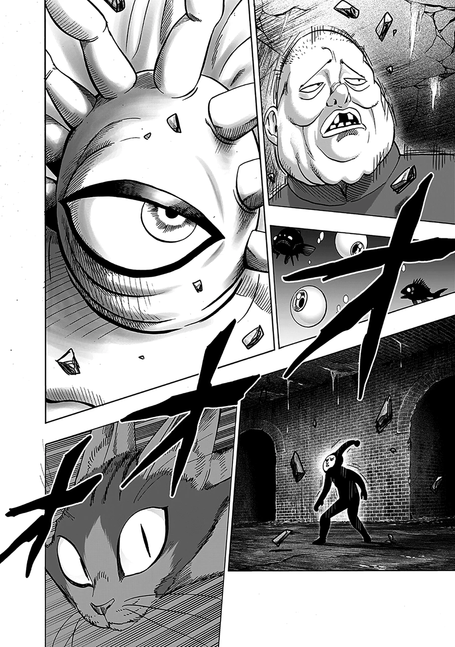 One-Punch Man — Cap. 106, pág. 24