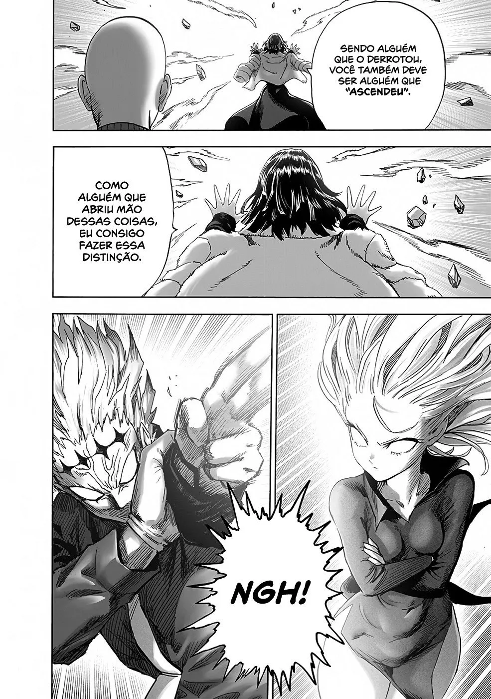 One-Punch Man — Cap. 211, pág. 25