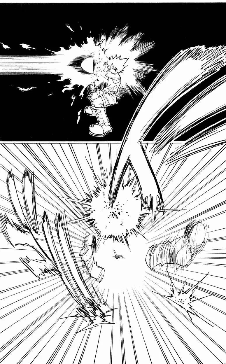 HUNTER x HUNTER — Cap. 163, pág. 10