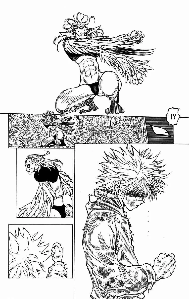 HUNTER x HUNTER — Cap. 219, pág. 11