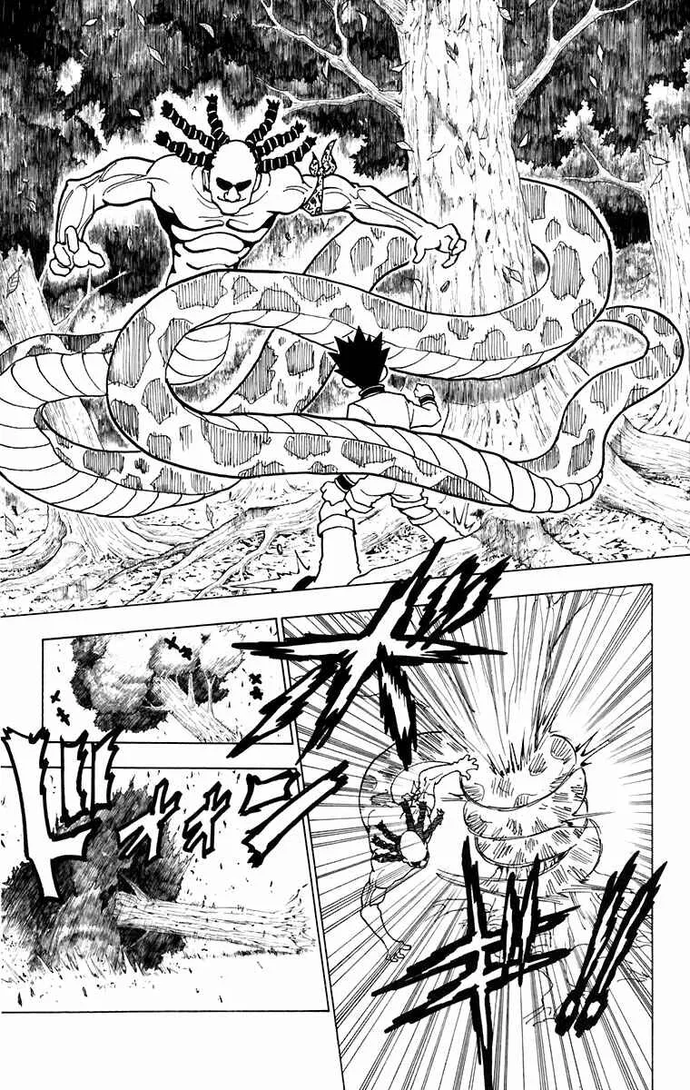 HUNTER x HUNTER — Cap. 231, pág. 10