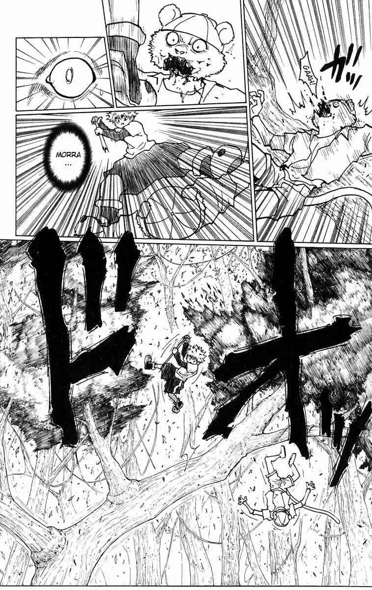 HUNTER x HUNTER — Cap. 236, pág. 14