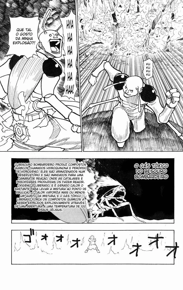 HUNTER x HUNTER — Cap. 236, pág. 17