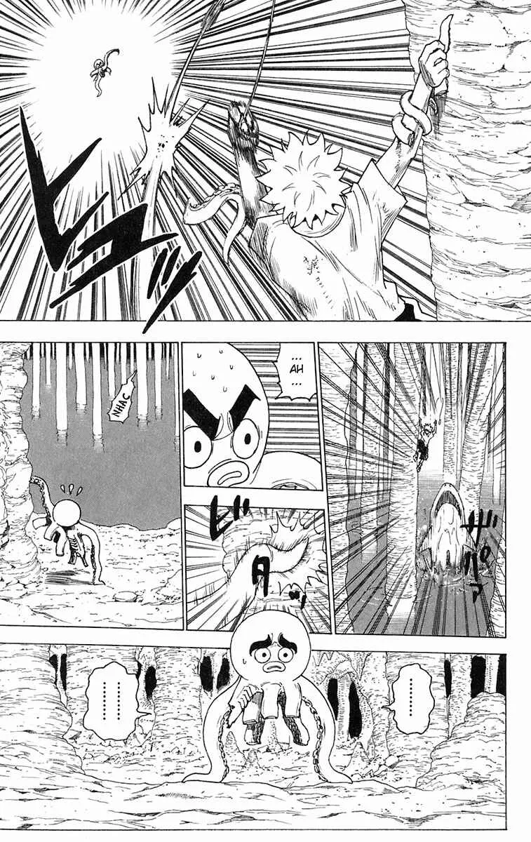 HUNTER x HUNTER — Cap. 238, pág. 12