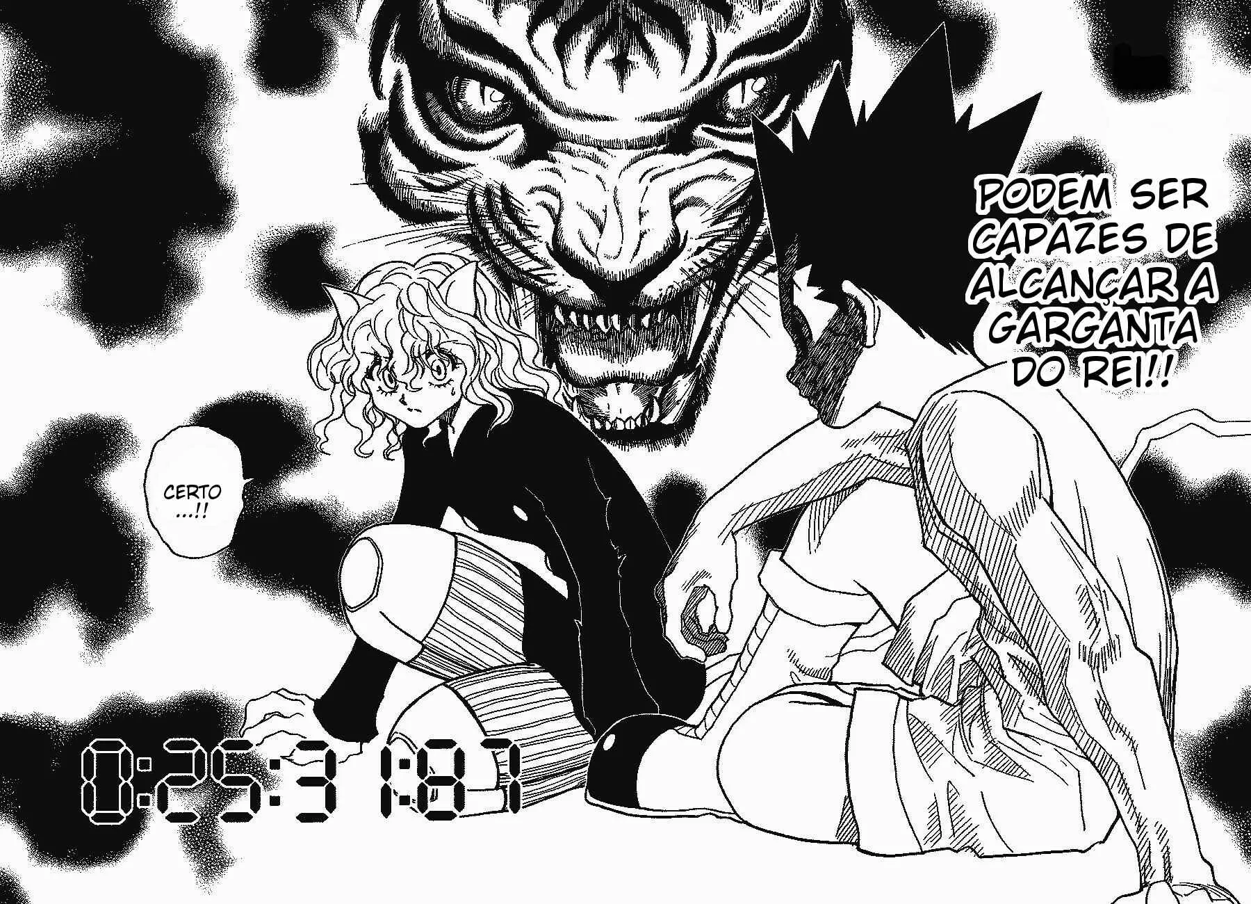 HUNTER x HUNTER — Cap. 295, pág. 14