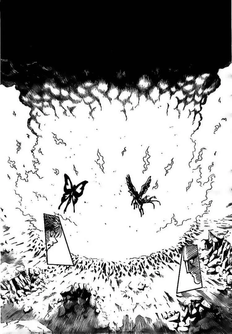 HUNTER x HUNTER — Cap. 298, pág. 14