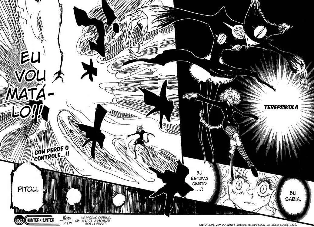HUNTER x HUNTER — Cap. 305, pág. 15