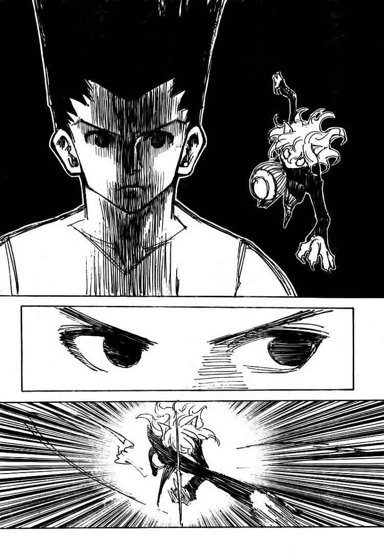 HUNTER x HUNTER — Cap. 306, pág. 7