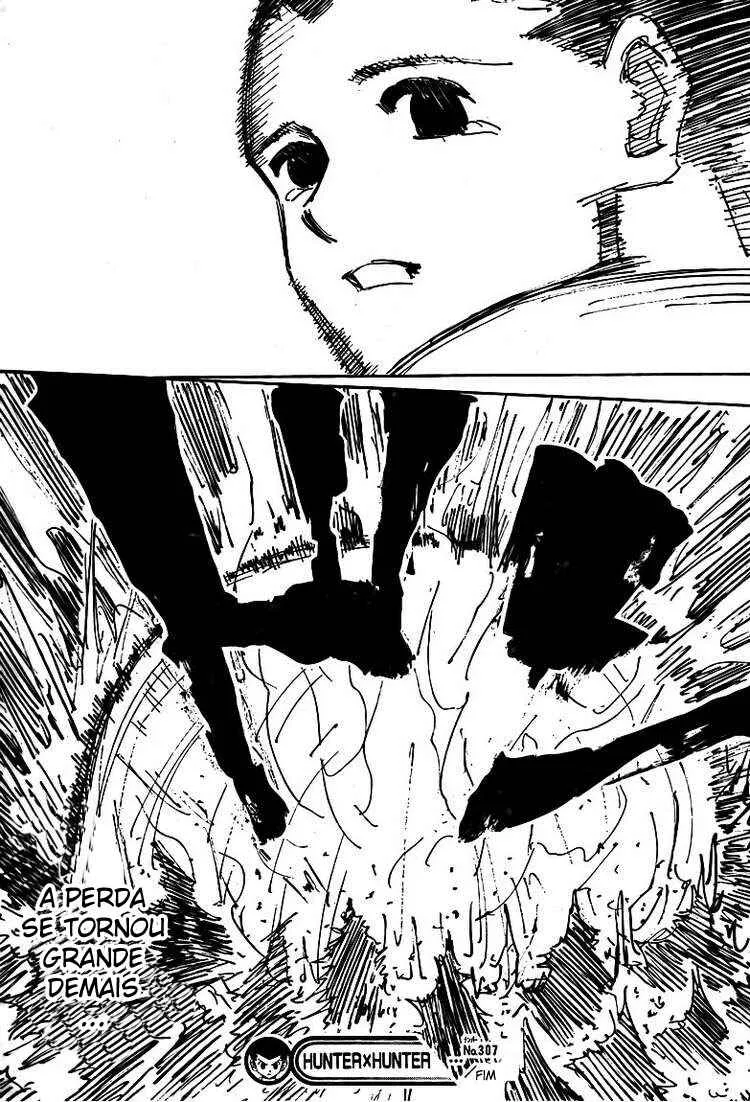HUNTER x HUNTER — Cap. 307, pág. 17