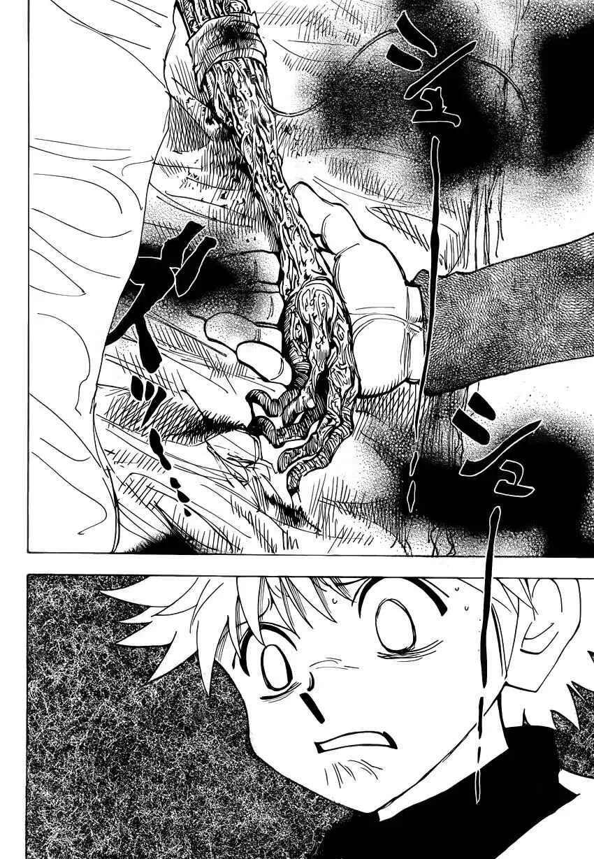 HUNTER x HUNTER — Cap. 333, pág. 10