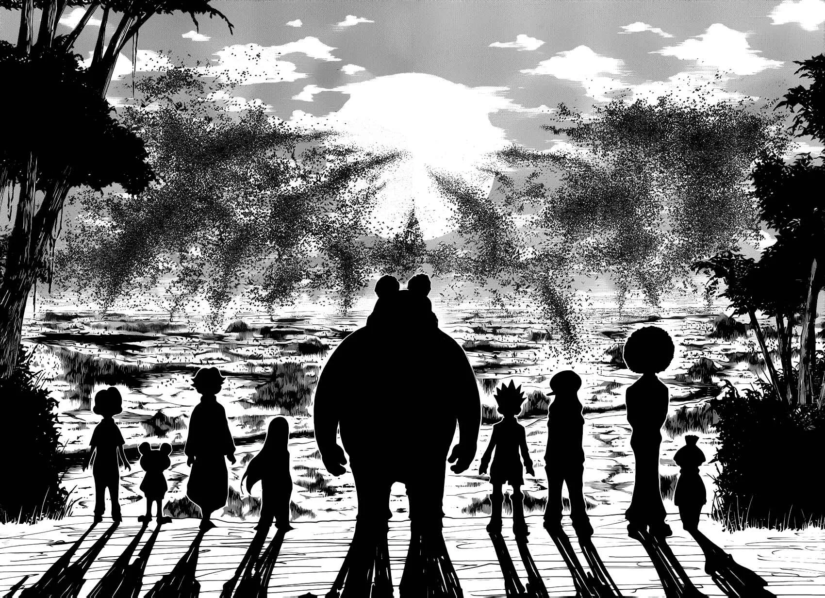 HUNTER x HUNTER — Cap. 339, pág. 9