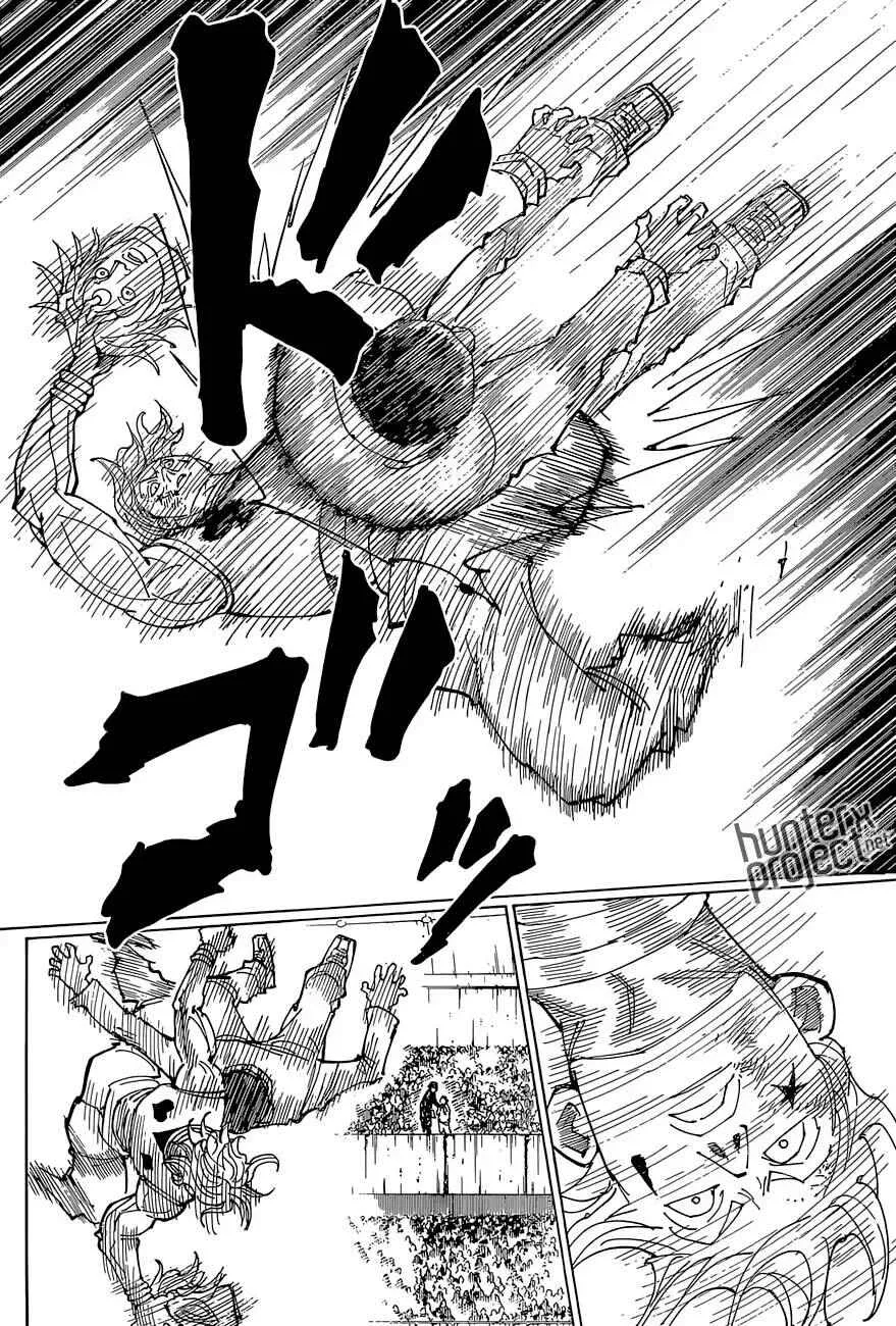 HUNTER x HUNTER — Cap. 356, pág. 17