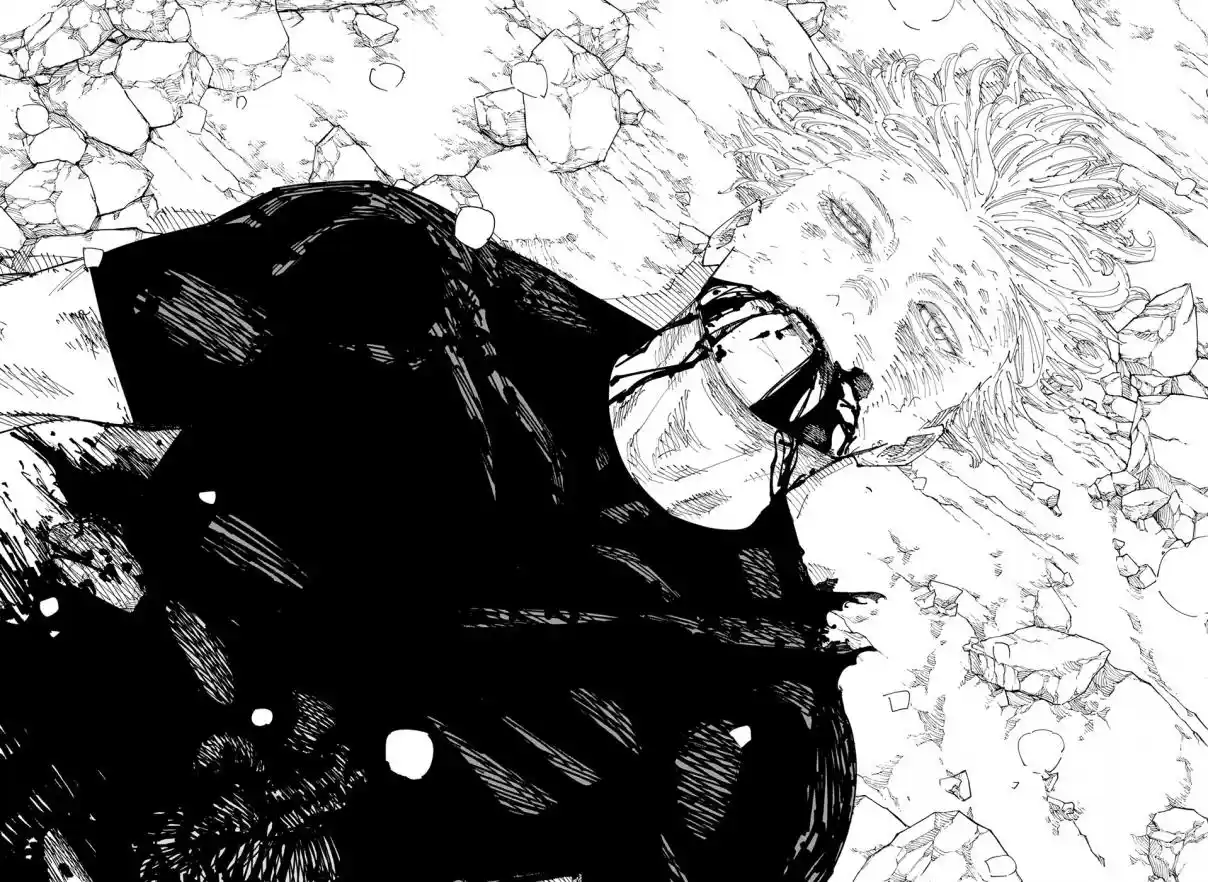 Jujutsu Kaisen — Cap. 236, pág. 14