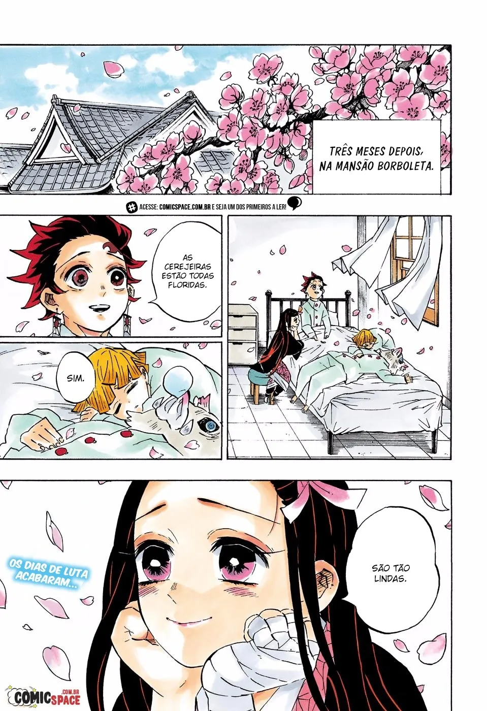 Kimetsu no Yaiba — Cap. 204, pág. 4
